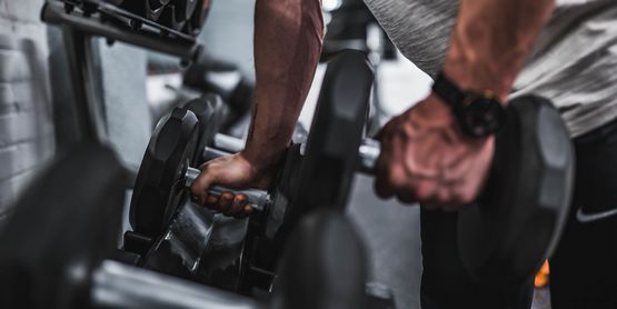 Steroidii: Guida Completa